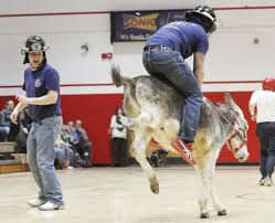 This is a supposedly a Donkey Basketball CELEBRITY.